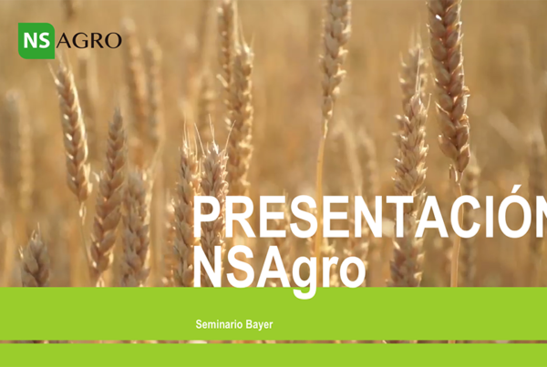 pressentacion-corporativa-PPT-nsagro-sabatico-diseño