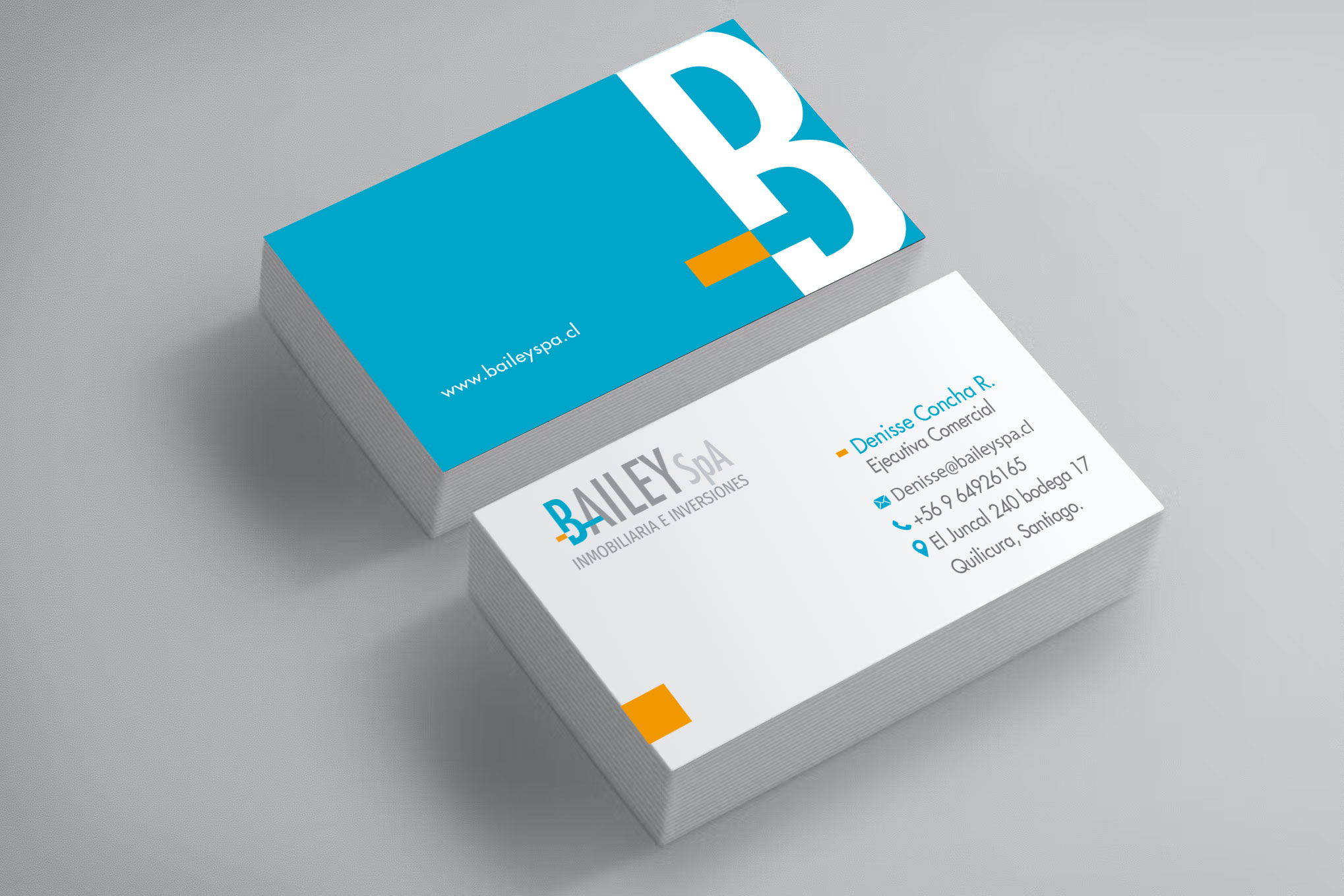 branding-logotipo-bailey-sabatico-diseno